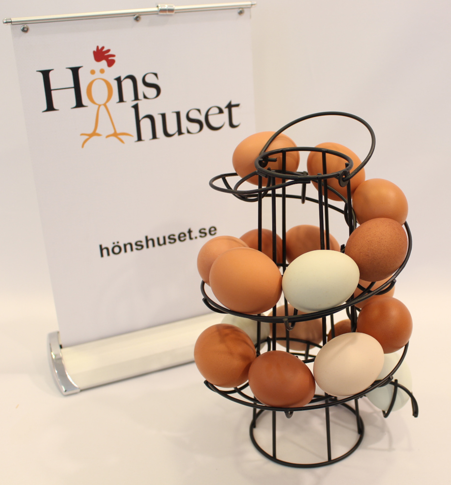 Äggsnurra svart - Bild 5